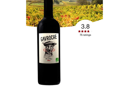 Chateau l’Ermite d’Auzan Gavroche Rouge, Vin de France(Organic) | 2022 | 13% | 75cl