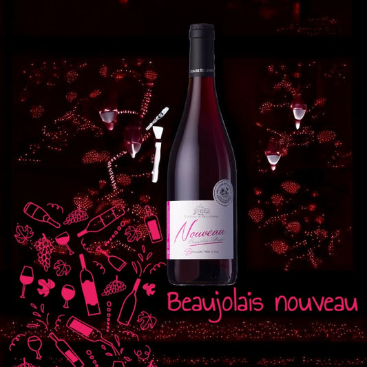 Beaujolais Villages Nouveau 2024, Chateau de Belleverne |75cl